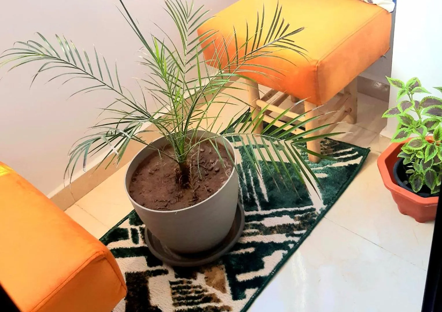 Elegant Logement Au Coeur De La Ville 5Min A Gueliz Marrakesh Apartment